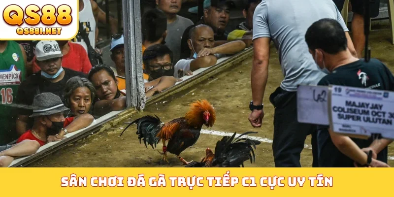 Sân chơi đá gà trực tiếp C1 cực uy tín